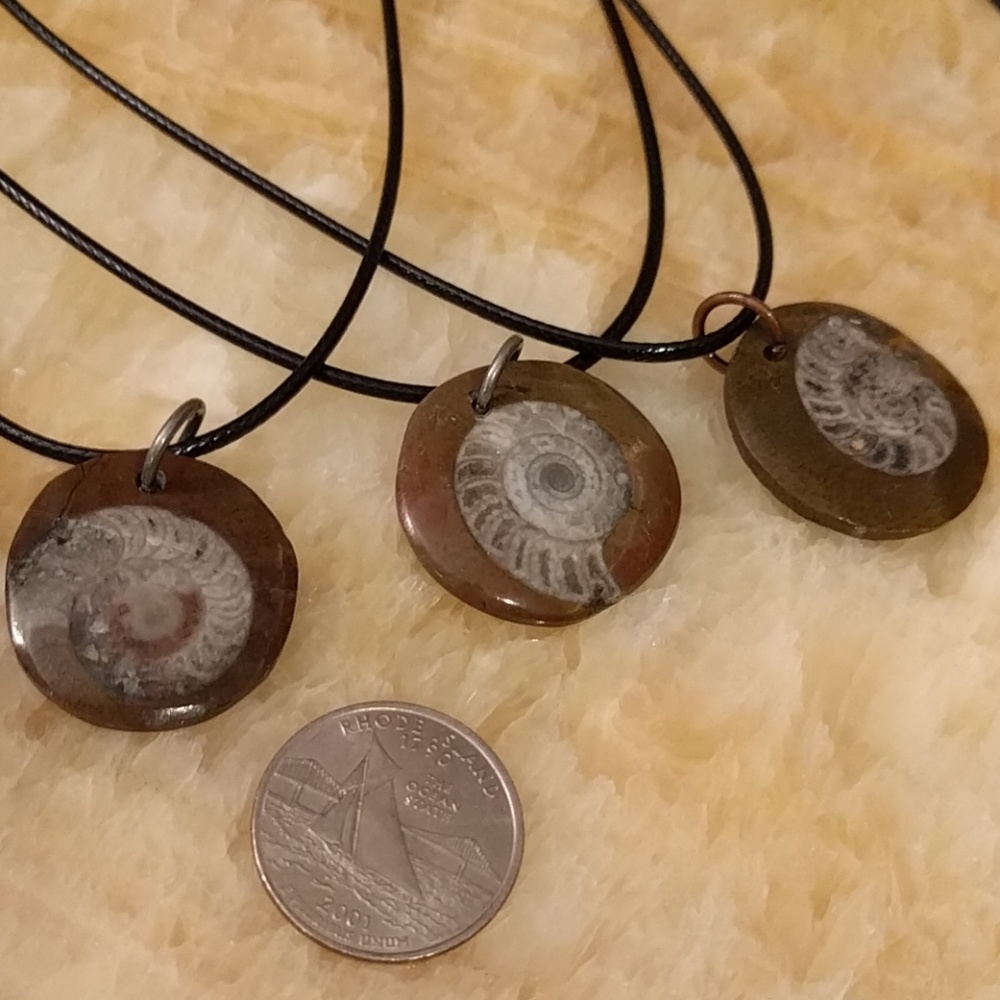 Ammonite Pendant Necklace